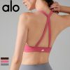Alo Yoga アロヨガ ライトサポート スポーツブラ 揺れない クロスバック サポートブラ ヨガウェア 美胸 サポート力抜群 サポートブラ ヨガ ランニング ジョギング ダンス ブラウン ブラック